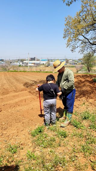 로만아빠님의 기타작물 · 영농일지 작성글 사진