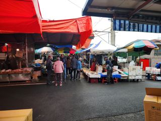 꿀복이농장님의 파 · 영농일지 작성글 사진