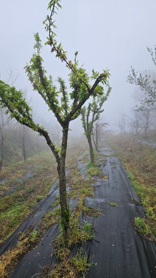 정규환님의 기타작물 · 영농일지 작성글 사진