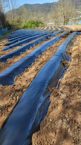 양석원님의 작성글 사진