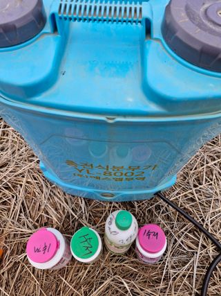 매실향기차향기님의 매실 · 영농일지 작성글 사진