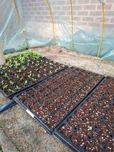 팜모닝 기타작물·영농일지 게시글 이미지