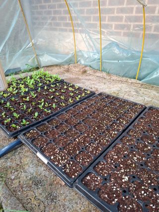 이재상님의 기타작물 · 영농일지 작성글 사진