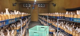 오●석님의 기타작물 · 영농일지 작성글 사진