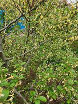 서정훈 님의 작성글 사진