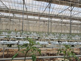 늘햇살팜 님의 기타작물 · 영농일지 작성글 사진