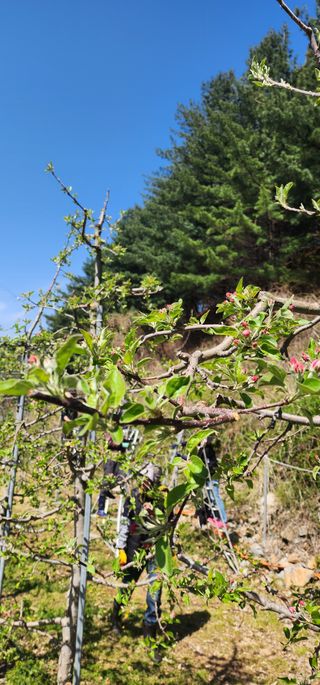 이철님의 기타작물 · 영농일지 작성글 사진