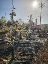 안종범님의 작성글 사진