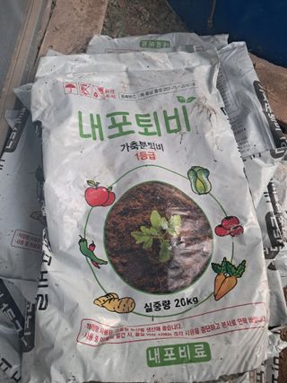 미스농부님의 포도 · 영농일지 작성글 사진