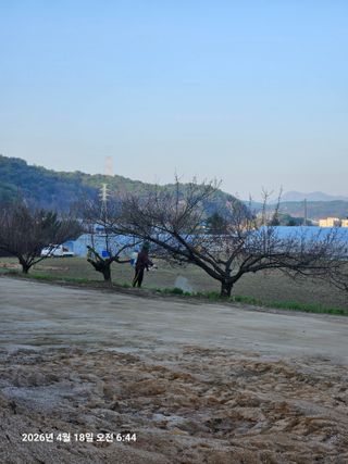 김병효님의 기타작물 · 영농일지 작성글 사진