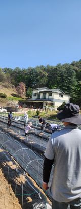 안나님의 작성글 사진