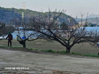 김병효님의 기타작물 · 영농일지 작성글 사진