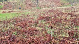 권혜전님의 기타작물 · 영농일지 작성글 사진