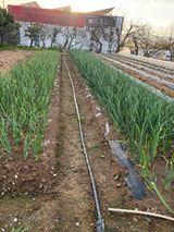 김영완님의 작성글 사진