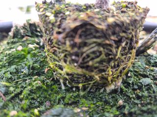 늘햇살팜 님의 기타작물 · 영농일지 작성글 사진