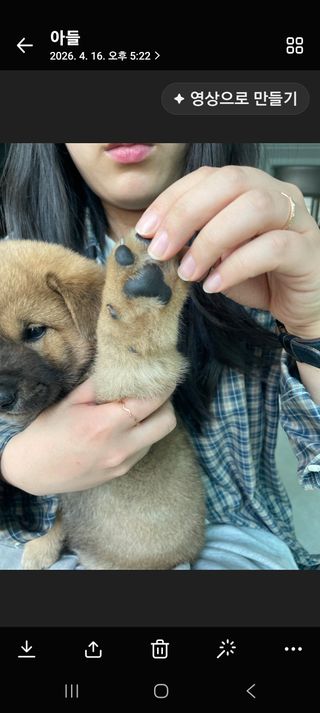 딸기15538님의 기타작물 · 영농일지 작성글 사진