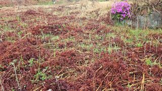 권혜전님의 기타작물 · 영농일지 작성글 사진