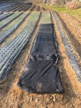 강화화도님의 작성글 사진