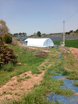 팜모닝 기타작물·영농일지 게시글 이미지