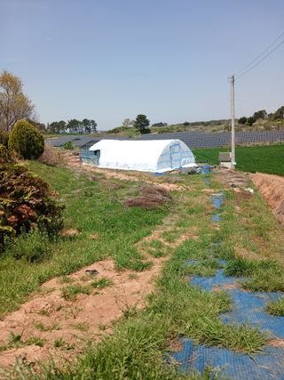 블루하늘TV님의 기타작물 · 영농일지 작성글 사진