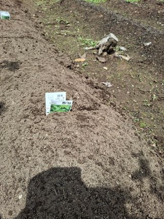 헤이쥬회원님의 기타작물 · 영농일지 작성글 사진