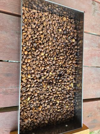 오세창님의 기타작물 · 영농일지 작성글 사진