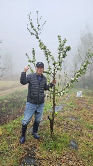 정규환님의 기타작물 · 영농일지 작성글 사진