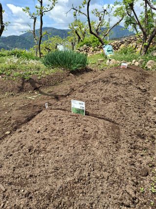 헤이쥬회원님의 기타작물 · 영농일지 작성글 사진