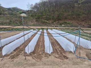 김기탁님의 기타작물 · 영농일지 작성글 사진