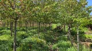 정진우님의 기타작물 · 영농일지 작성글 사진