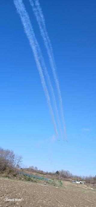 산양 위만(엄문섭)님의 호박 · 영농일지 작성글 사진