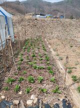 원술님의 작성글 사진