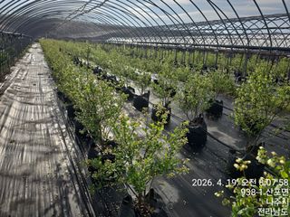 축복농장님의 기타작물 · 영농일지 작성글 사진