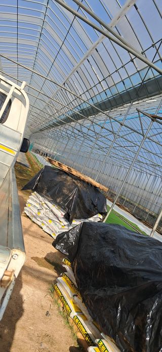 이복길님의 기타작물 · 영농일지 작성글 사진