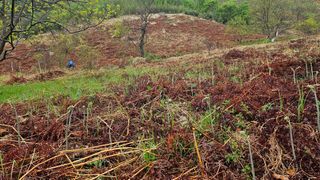 권혜전님의 기타작물 · 영농일지 작성글 사진