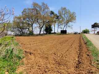 로만아빠님의 기타작물 · 영농일지 작성글 사진