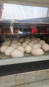 이순정님의 작성글 사진