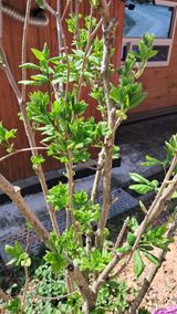 bpjh9173님의 작성글 사진