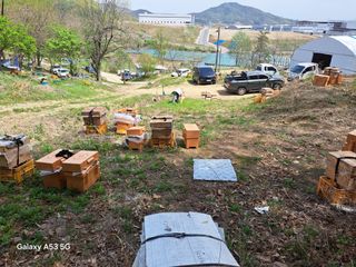 조연만님의 기타작물 · 영농일지 작성글 사진