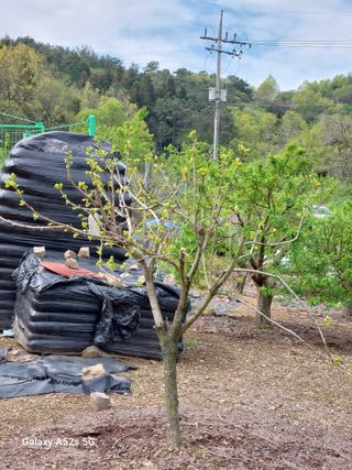 손길준님의 기타작물 · 영농일지 작성글 사진