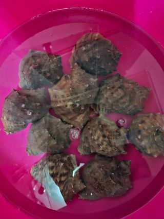 결단이님의 작성글 사진