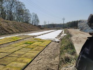 신승철님의 벼 · 영농일지 작성글 사진