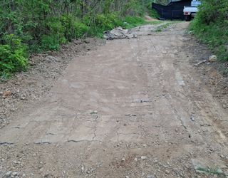 철남 김희곤님의 두릅 · 영농일지 작성글 사진