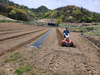 최미선님의 기타작물 · 영농일지 작성글 사진