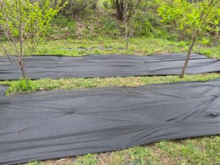 최은종님의 기타작물 · 영농일지 작성글 사진