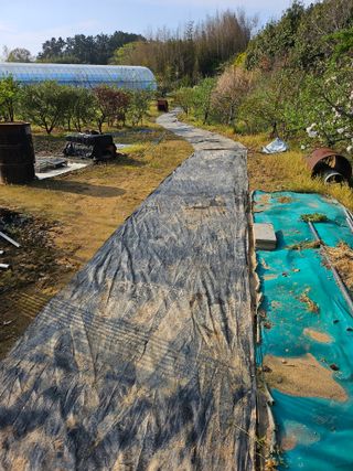 서정훈 님의 기타작물 · 영농일지 작성글 사진