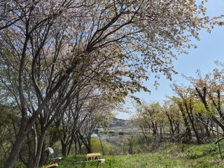 정창배 님의 기타작물 · 영농일지 작성글 사진