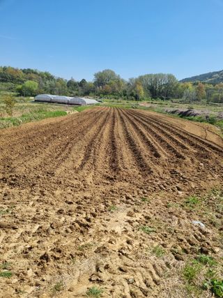 논산푸른팜님의 작성글 사진