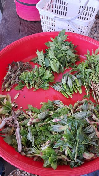 bpjh9173님의 작성글 사진