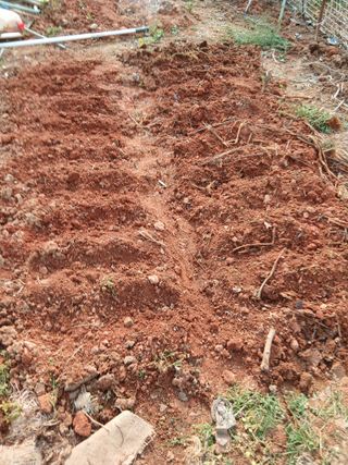 엄기덕님의 기타작물 · 영농일지 작성글 사진